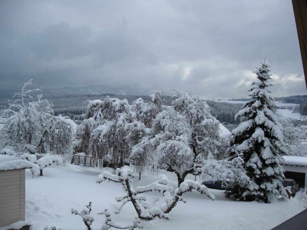 Gaestehaus Steininger Zwiesel Cameră foto